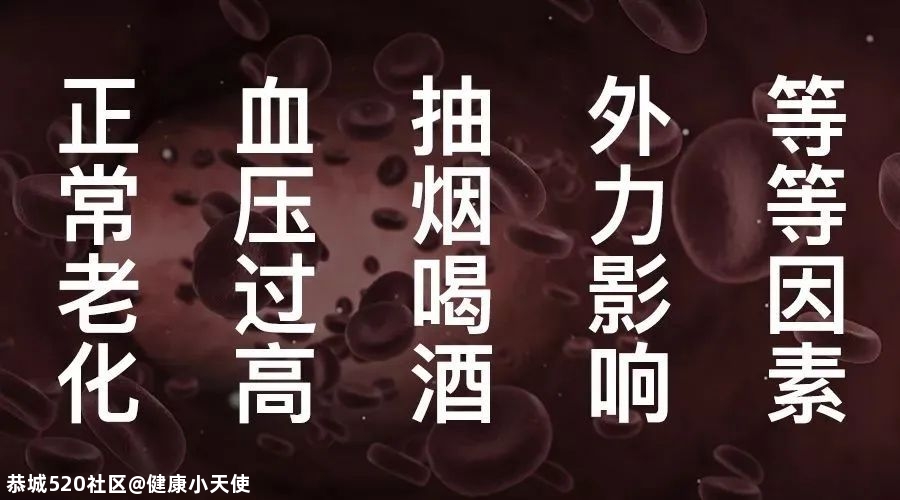 为什么说每个人的血管都可能会堵？561 / 作者:健康小天使 / 帖子ID:279623