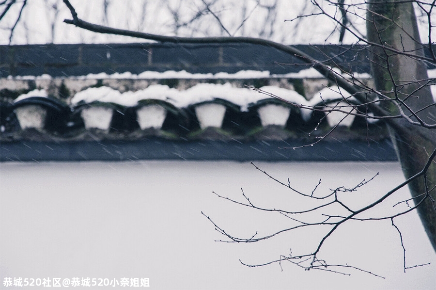 小雪｜秋天成了故事，冬天成了风景518 / 作者:恭城520小奈姐姐 / 帖子ID:279631