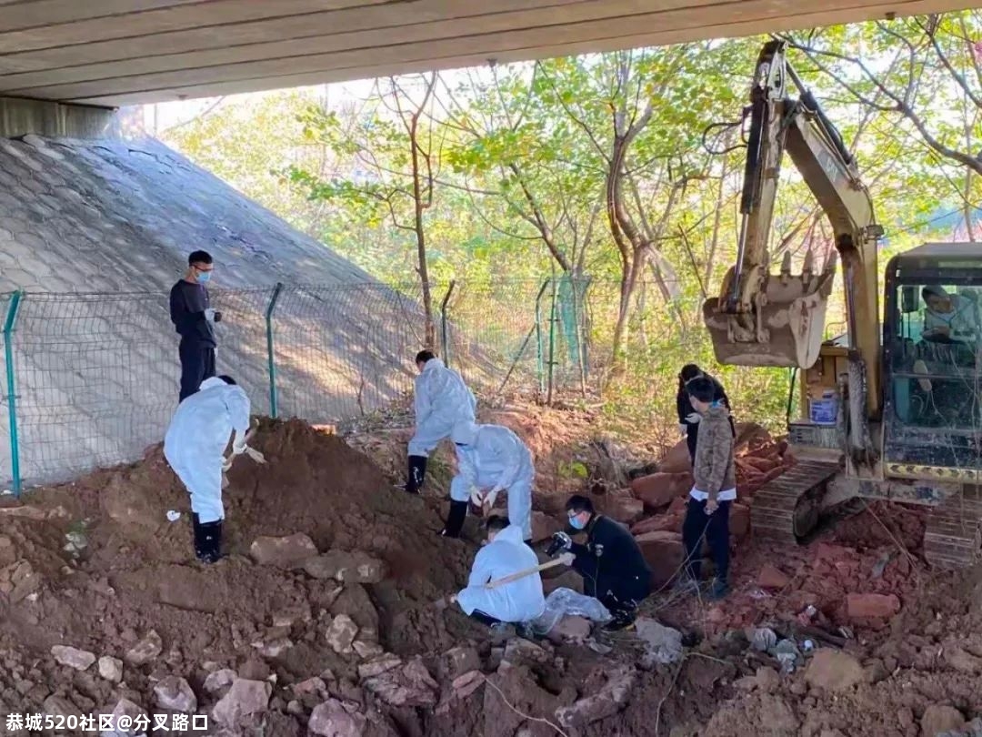 “犯罪电影都不敢这么编！”71 / 作者:分叉路口 / 帖子ID:279733