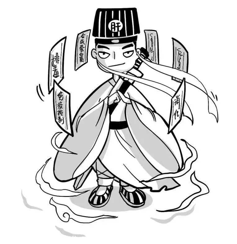 脂肪肝的罪魁祸首，其实不是脂肪751 / 作者:健康小天使 / 帖子ID:279834
