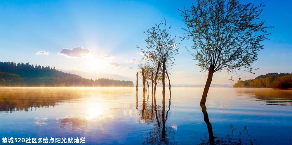 心理测试：选一束温暖治愈的阳光，测这个冬天你的贵人是谁？647 / 作者:给点阳光就灿烂 / 帖子ID:279883