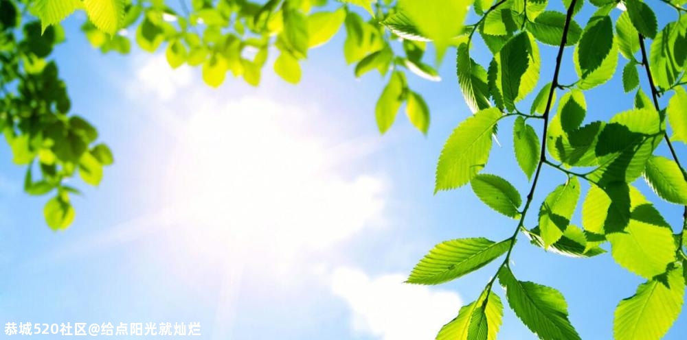 心理测试：选一束温暖治愈的阳光，测这个冬天你的贵人是谁？807 / 作者:给点阳光就灿烂 / 帖子ID:279883