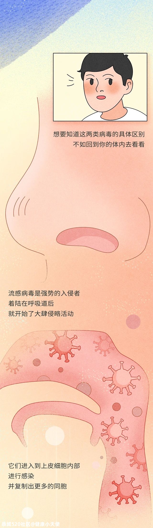 流感 VS 感冒：一字之差，为何杀伤力差别这么大？246 / 作者:健康小天使 / 帖子ID:279940
