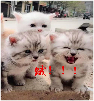 【防艾小课堂】什么是导致艾滋病传染的高危行为？977 / 作者:健康小天使 / 帖子ID:279944