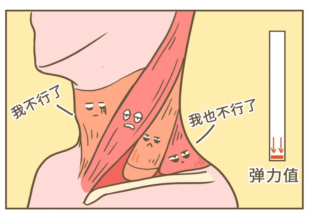 落枕可能是身体的「求救信号」，别不当回事！853 / 作者:健康小天使 / 帖子ID:279977