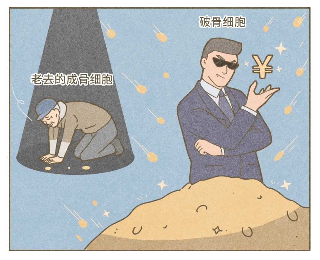 老了是否会骨质疏松，和你现在的一个决定息息相关798 / 作者:健康小天使 / 帖子ID:280046