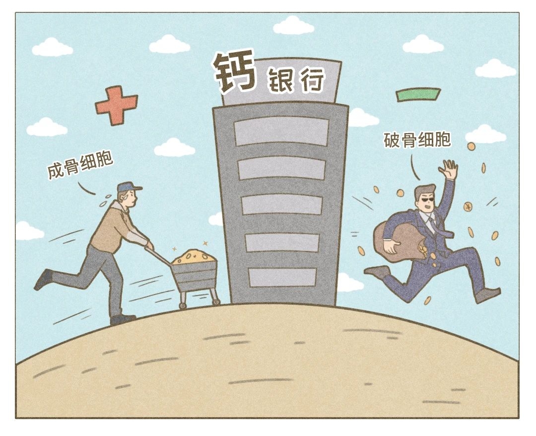 老了是否会骨质疏松，和你现在的一个决定息息相关660 / 作者:健康小天使 / 帖子ID:280046