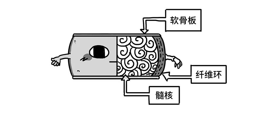 腰椎间盘突出，其实就像婆媳矛盾189 / 作者:健康小天使 / 帖子ID:280161