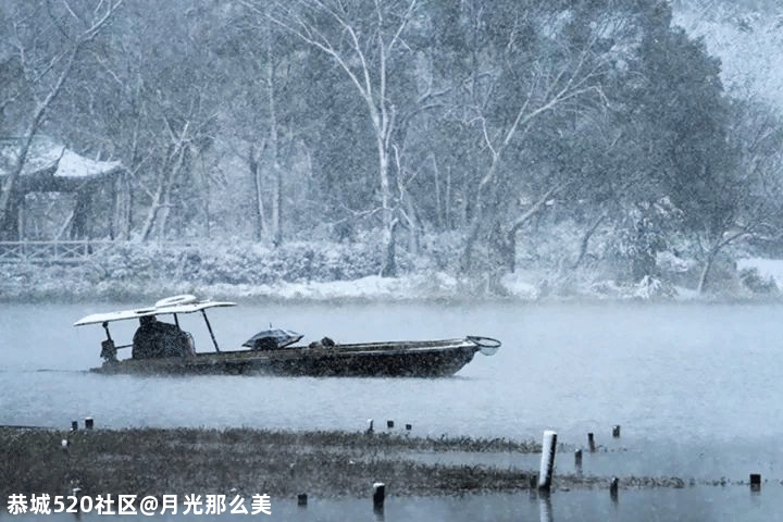 大雪｜白首天涯，雪落归家532 / 作者:月光那么美 / 帖子ID:280176