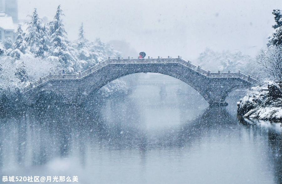 大雪｜白首天涯，雪落归家443 / 作者:月光那么美 / 帖子ID:280176