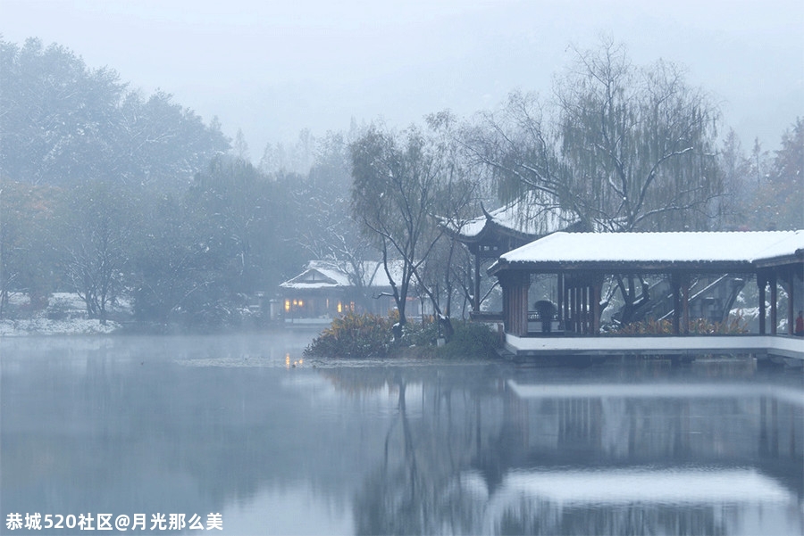 大雪｜白首天涯，雪落归家72 / 作者:月光那么美 / 帖子ID:280176