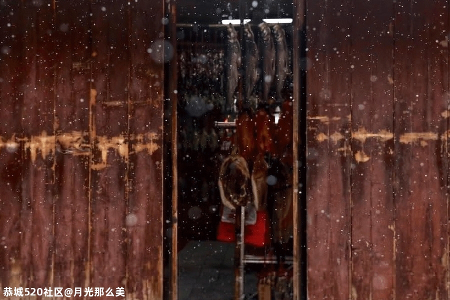 大雪｜白首天涯，雪落归家275 / 作者:月光那么美 / 帖子ID:280176