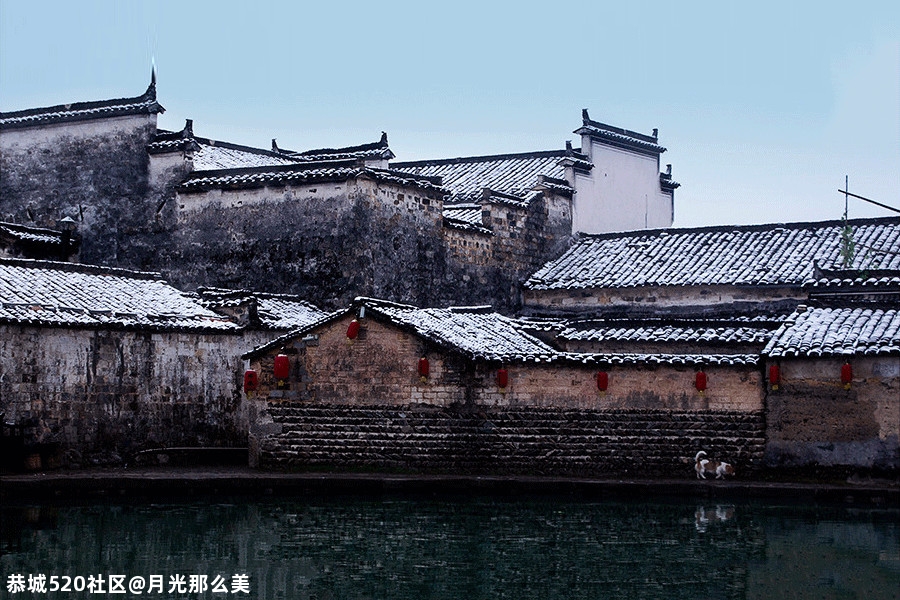 大雪｜白首天涯，雪落归家617 / 作者:月光那么美 / 帖子ID:280176