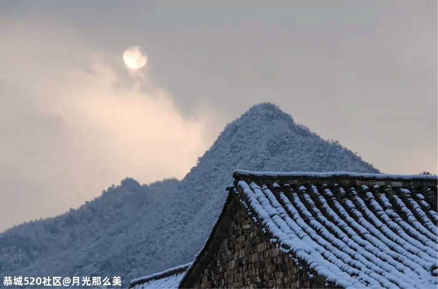 大雪｜白首天涯，雪落归家191 / 作者:月光那么美 / 帖子ID:280176