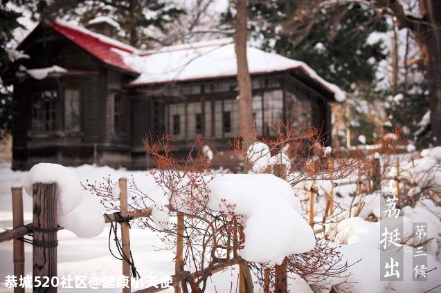 大雪至 | 雪纷飞，仲冬始，这份养生指南请收好835 / 作者:健康小天使 / 帖子ID:280228