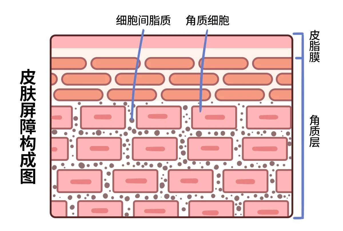 身上起皮刺痒，靠洗澡解决不了问题！真正管用的是……718 / 作者:健康小天使 / 帖子ID:280300