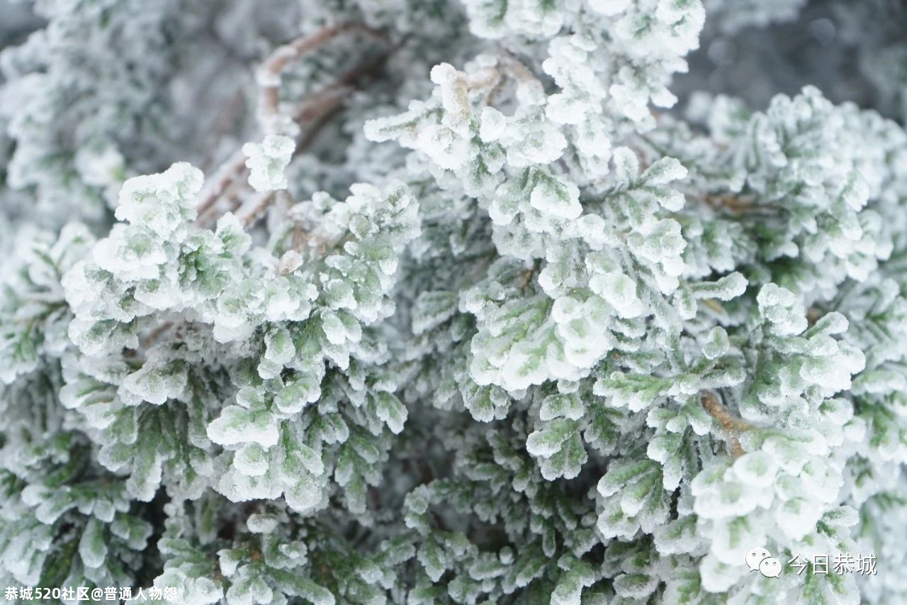 燕子山雪景来袭，请猛戳！760 / 作者:普通人物怨 / 帖子ID:280553