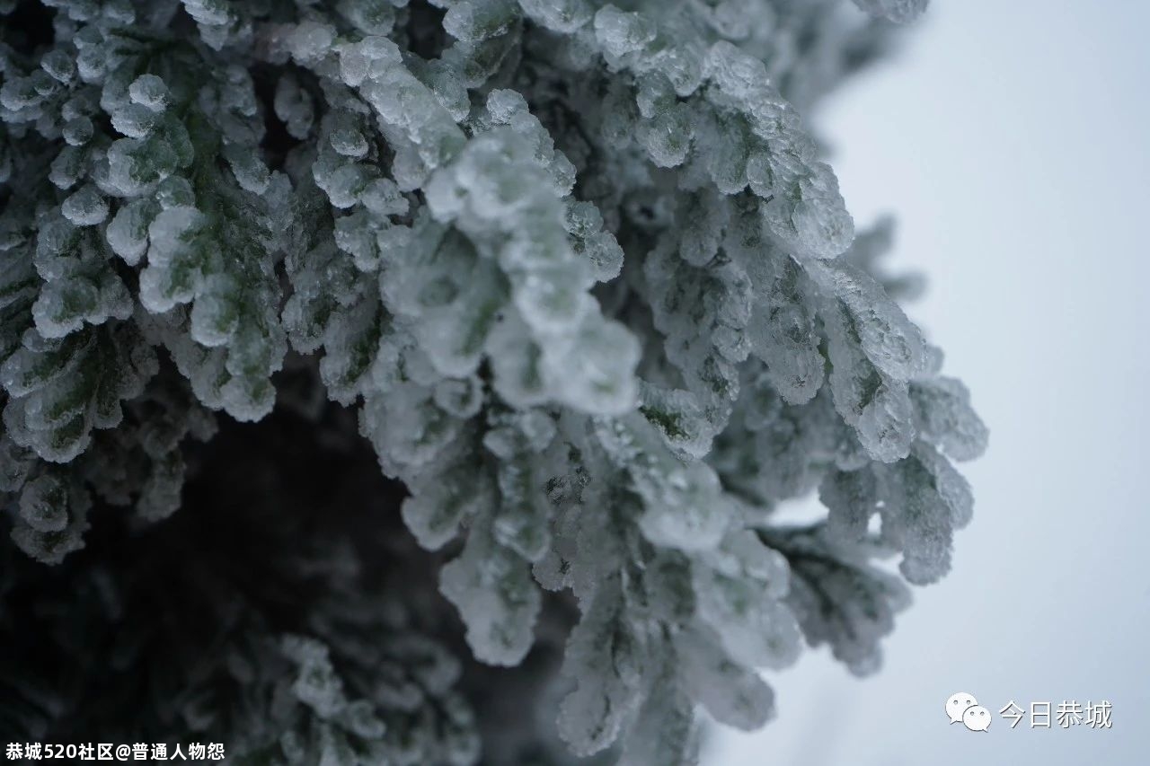 燕子山雪景来袭，请猛戳！748 / 作者:普通人物怨 / 帖子ID:280553