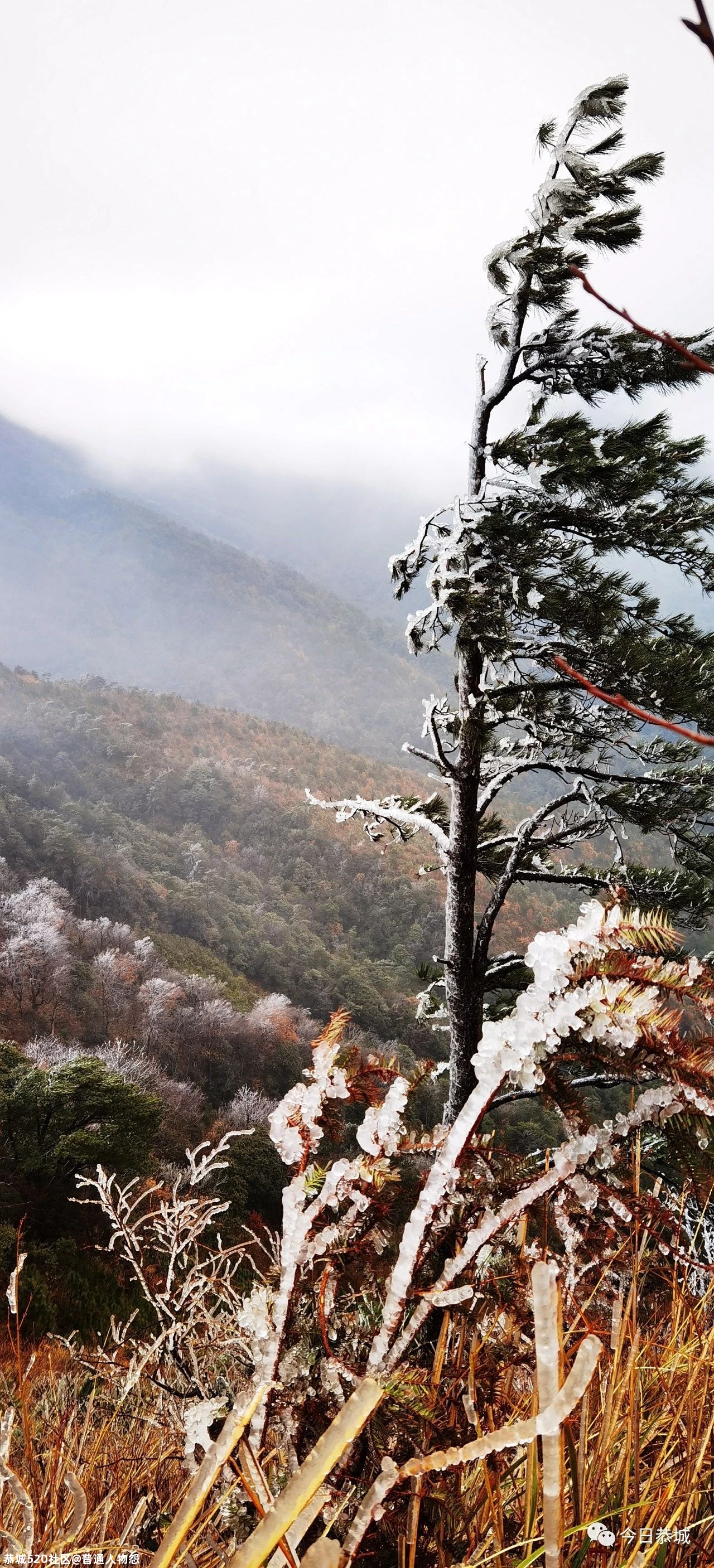 燕子山雪景来袭，请猛戳！949 / 作者:普通人物怨 / 帖子ID:280553