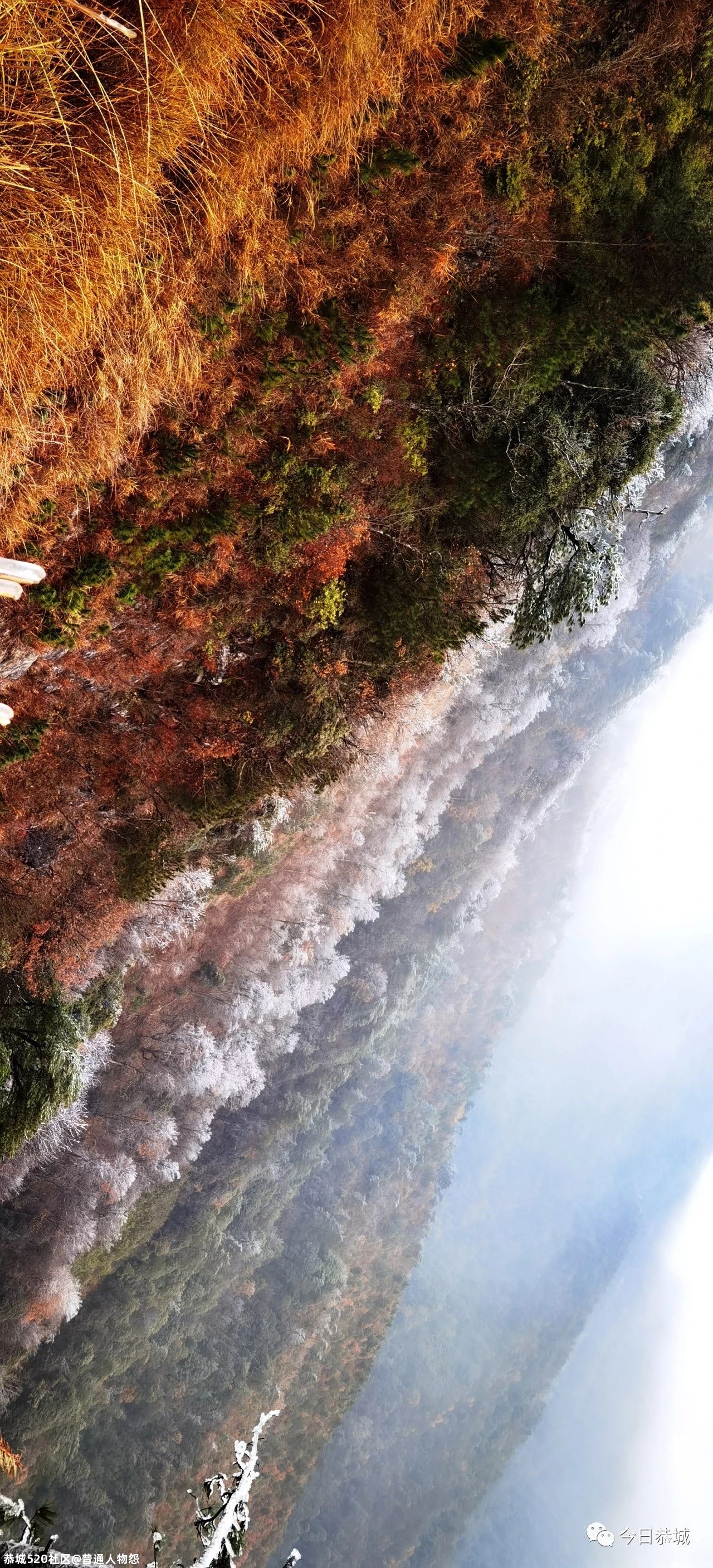 燕子山雪景来袭，请猛戳！229 / 作者:普通人物怨 / 帖子ID:280553
