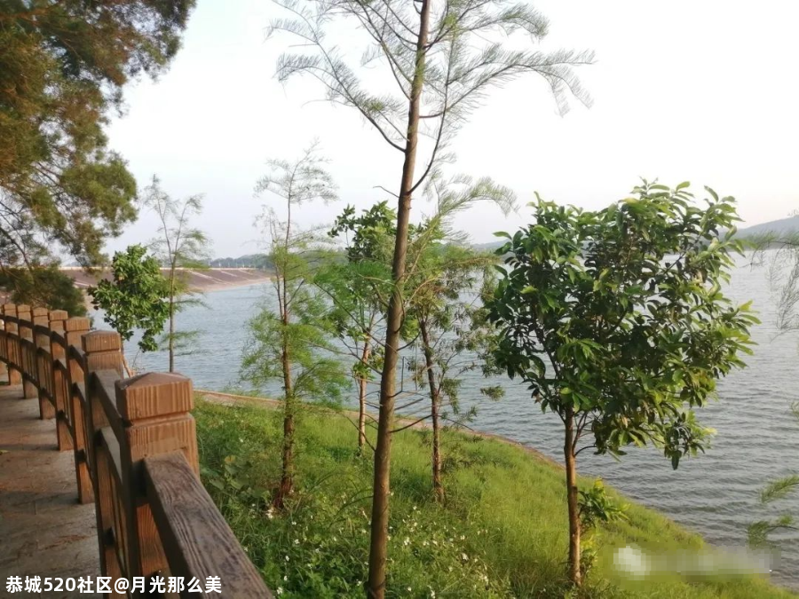 南宁这些高颜值的网红打卡景点，你都打卡过几个？536 / 作者:月光那么美 / 帖子ID:280726