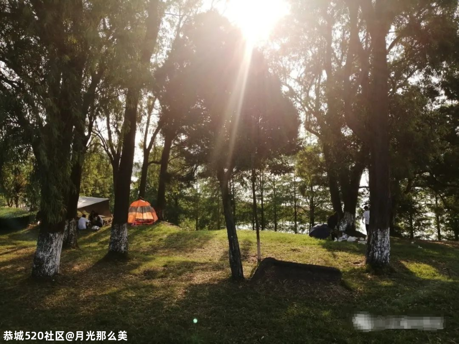 南宁这些高颜值的网红打卡景点，你都打卡过几个？552 / 作者:月光那么美 / 帖子ID:280726