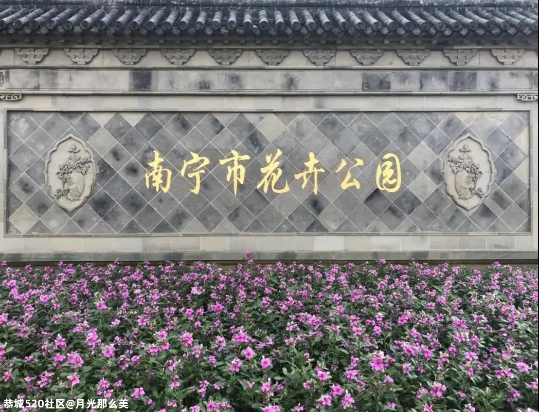 南宁这些高颜值的网红打卡景点，你都打卡过几个？611 / 作者:月光那么美 / 帖子ID:280726