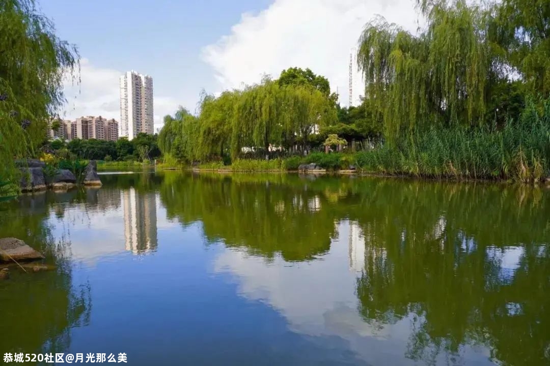 南宁这些高颜值的网红打卡景点，你都打卡过几个？106 / 作者:月光那么美 / 帖子ID:280726