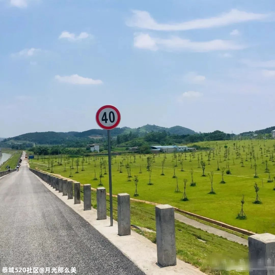 南宁这些高颜值的网红打卡景点，你都打卡过几个？835 / 作者:月光那么美 / 帖子ID:280726