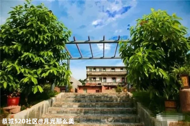 南宁这些高颜值的网红打卡景点，你都打卡过几个？317 / 作者:月光那么美 / 帖子ID:280726