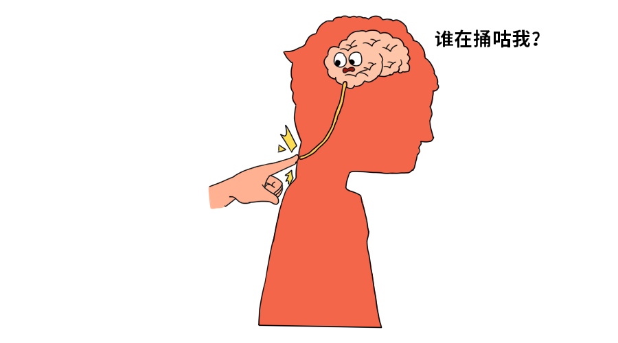 挠痒痒明明很痛苦，为什么还忍不住想笑？473 / 作者:健康小天使 / 帖子ID:281063