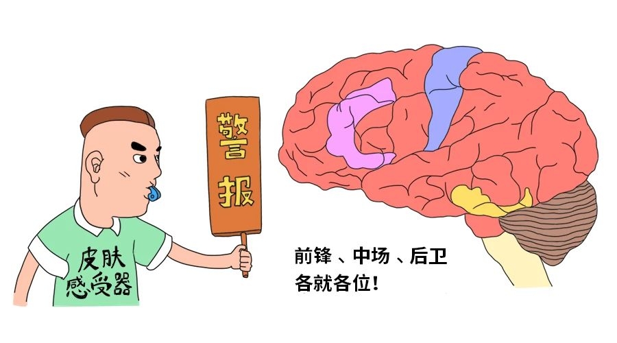 挠痒痒明明很痛苦，为什么还忍不住想笑？164 / 作者:健康小天使 / 帖子ID:281063