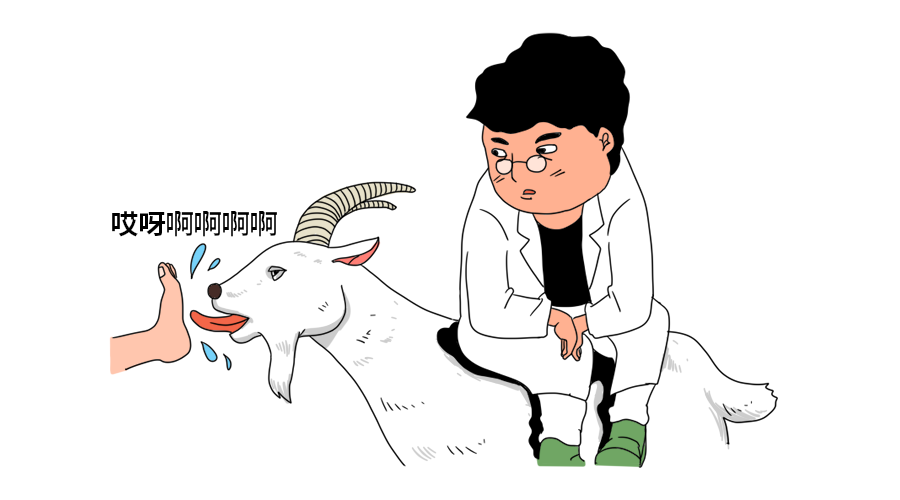 挠痒痒明明很痛苦，为什么还忍不住想笑？702 / 作者:健康小天使 / 帖子ID:281063