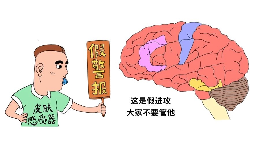 挠痒痒明明很痛苦，为什么还忍不住想笑？444 / 作者:健康小天使 / 帖子ID:281063