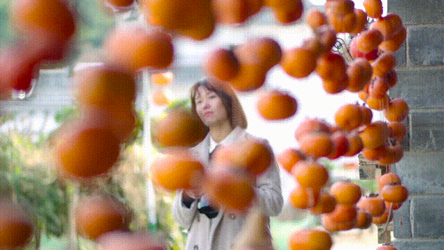红岩村“红”了这么多年的致胜秘笈，今天我来告诉你究竟是什么684 / 作者:论坛小编04 / 帖子ID:281110