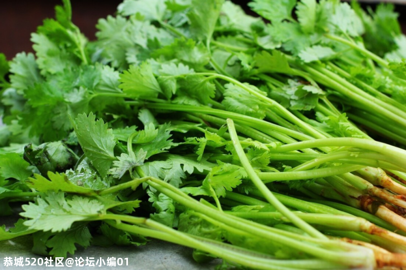 你最接受不了或者最不喜欢吃的是哪一种菜？228 / 作者:论坛小编01 / 帖子ID:281167