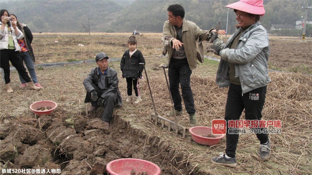 都看看！栗木这对夫妻成网红了！501 / 作者:普通人物怨 / 帖子ID:281265