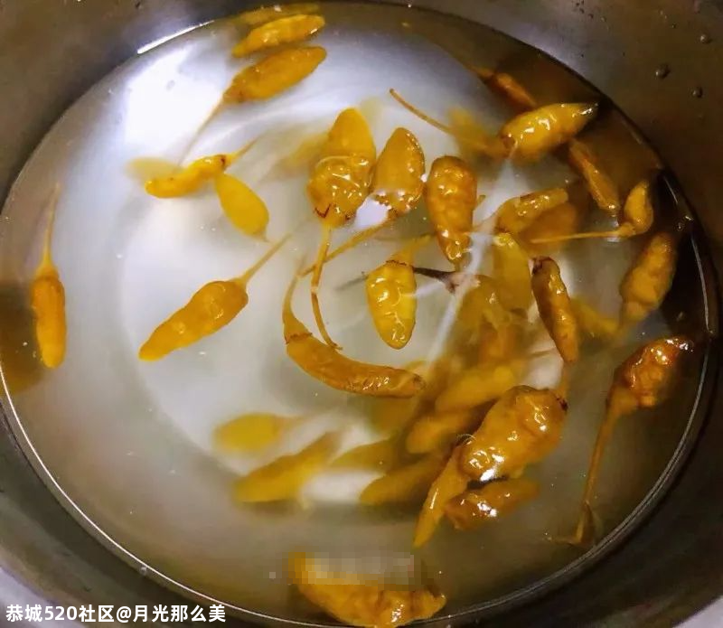 最爱吃的泡脚凤爪！酸辣清爽、皮脆肉香！真是越吃越上隐！836 / 作者:月光那么美 / 帖子ID:281268