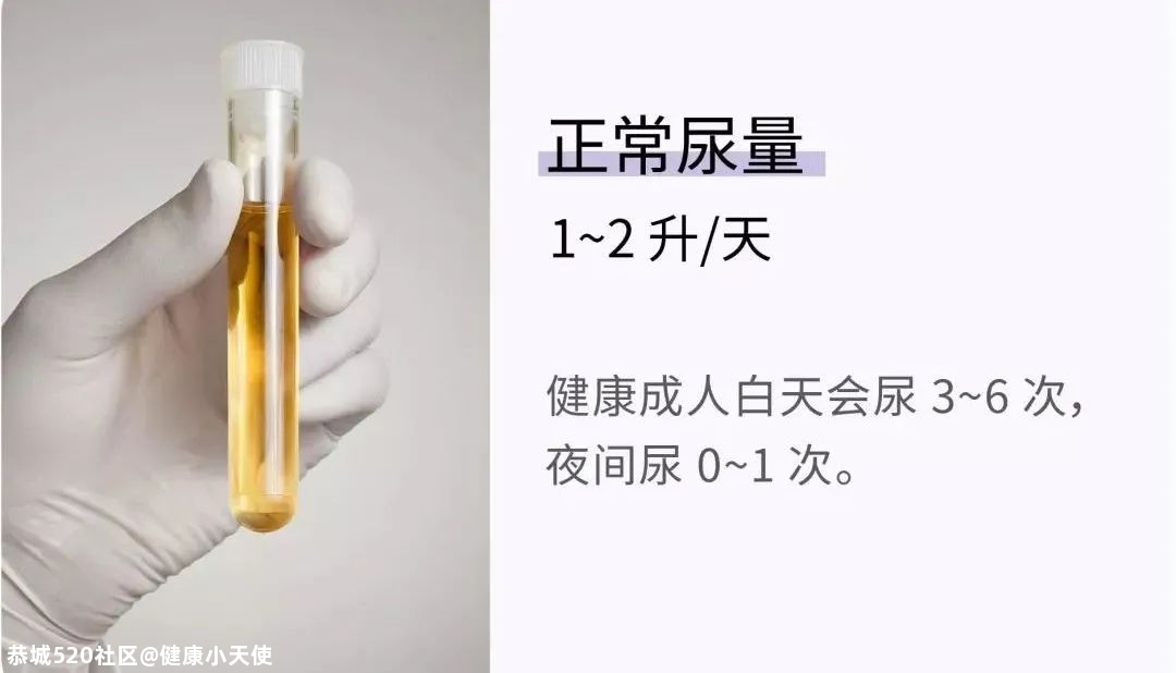 一天上几次厕所才算正常？22 组健康指标，让你更了解身体状况261 / 作者:健康小天使 / 帖子ID:281350