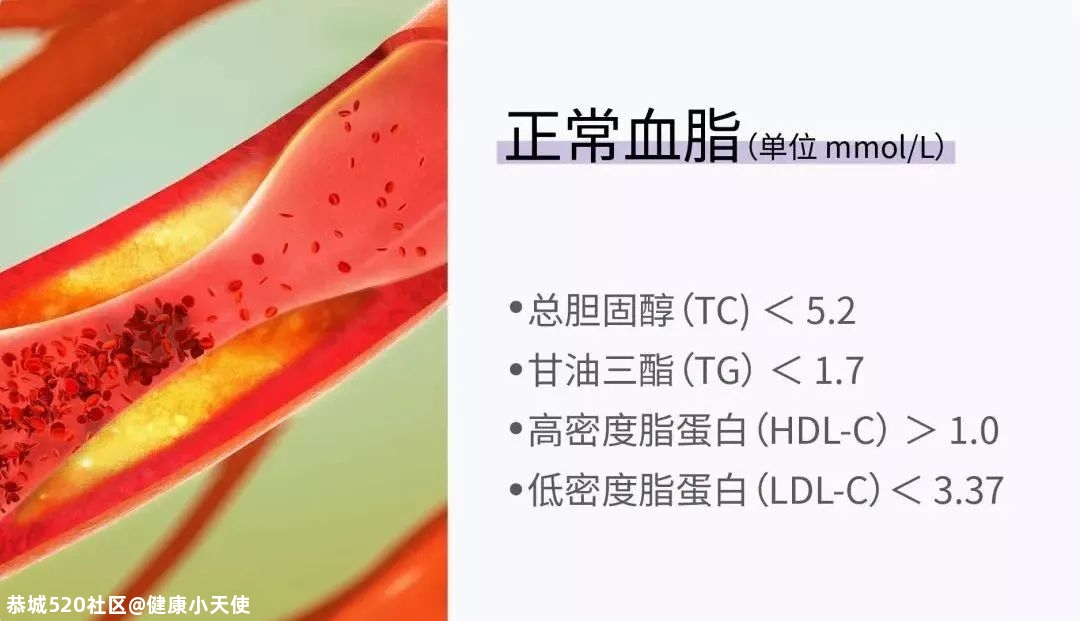 一天上几次厕所才算正常？22 组健康指标，让你更了解身体状况394 / 作者:健康小天使 / 帖子ID:281350