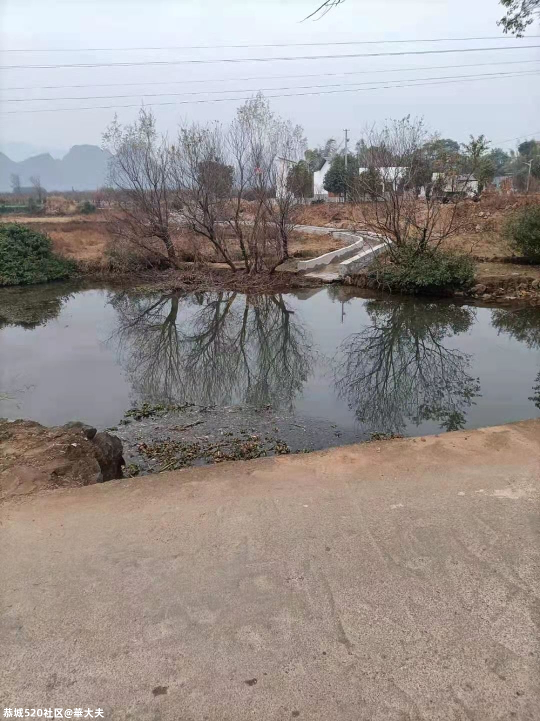 有人往西岭湖塘村河道投毒，请有关部门严查这种破坏生态环境的黑手326 / 作者:華大夫 / 帖子ID:281454