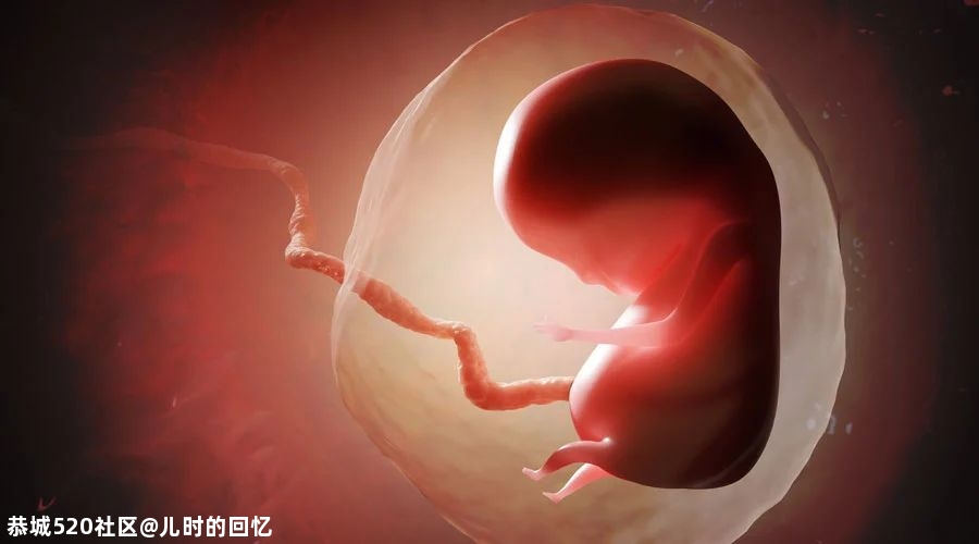 代孕，为什么不能被开放？955 / 作者:儿时的回忆 / 帖子ID:281555
