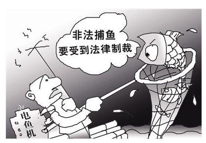 曝光电鱼奖励100元979 / 作者:MDG / 帖子ID:282058