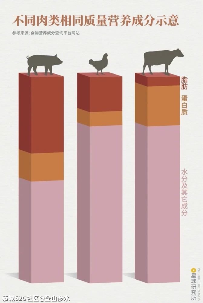 中国牛，真牛！620 / 作者:登山涉水 / 帖子ID:282378