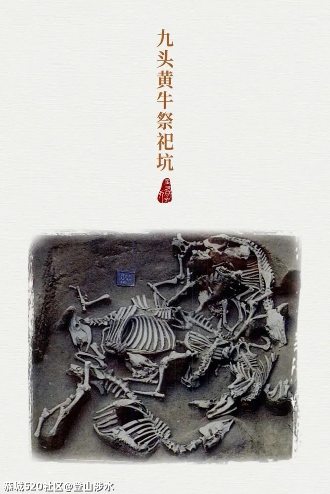 中国牛，真牛！475 / 作者:登山涉水 / 帖子ID:282378
