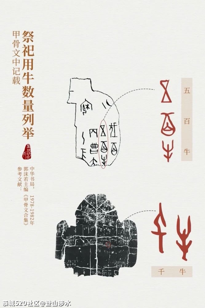 中国牛，真牛！418 / 作者:登山涉水 / 帖子ID:282378