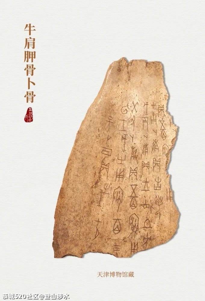 中国牛，真牛！109 / 作者:登山涉水 / 帖子ID:282378