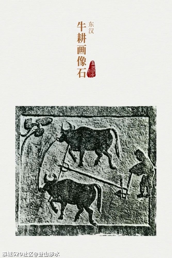 中国牛，真牛！342 / 作者:登山涉水 / 帖子ID:282378
