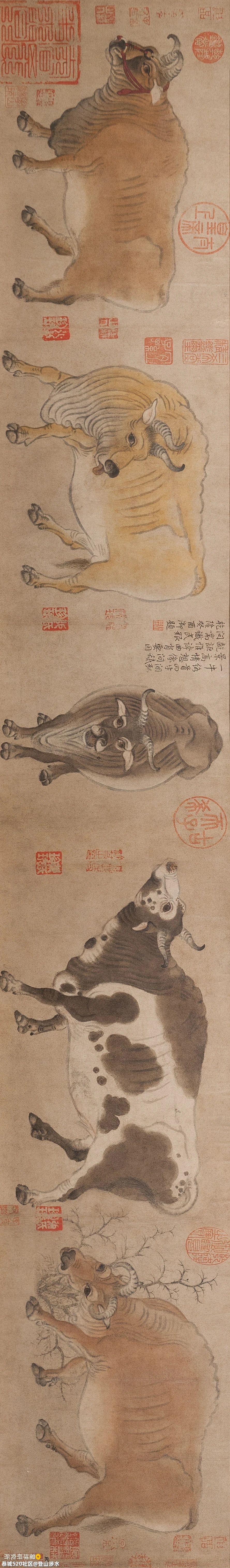中国牛，真牛！850 / 作者:登山涉水 / 帖子ID:282378