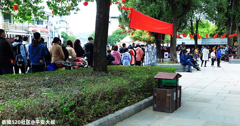 恭城大年初一游览孔庙的游客排起长龙队。985 / 作者:平安大叔 / 帖子ID:282390